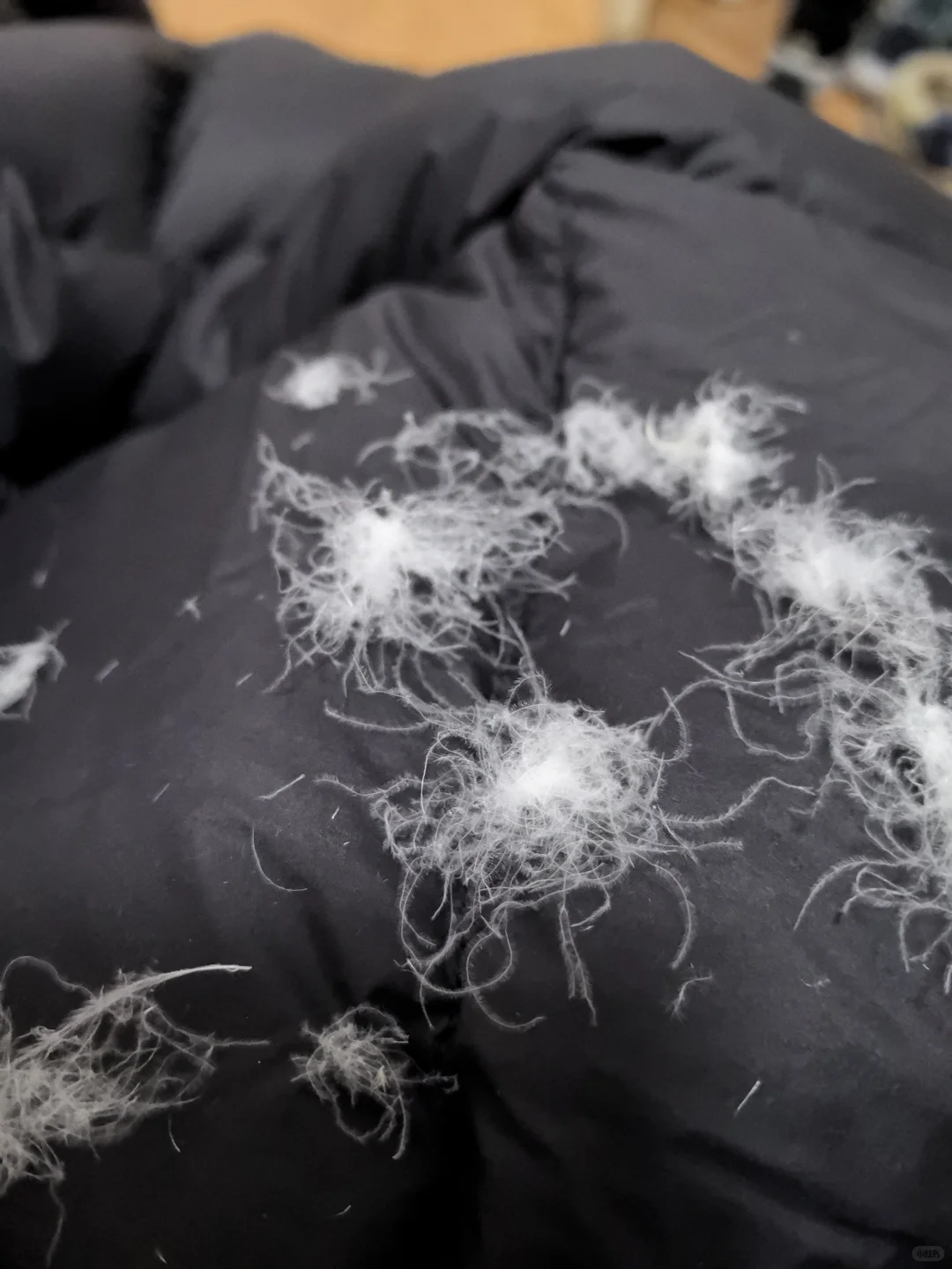 在线帮我看看这个是不是鹅绒服