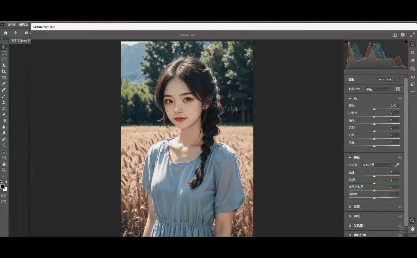 PS图片增强插件Adobe Camera Raw使用方法