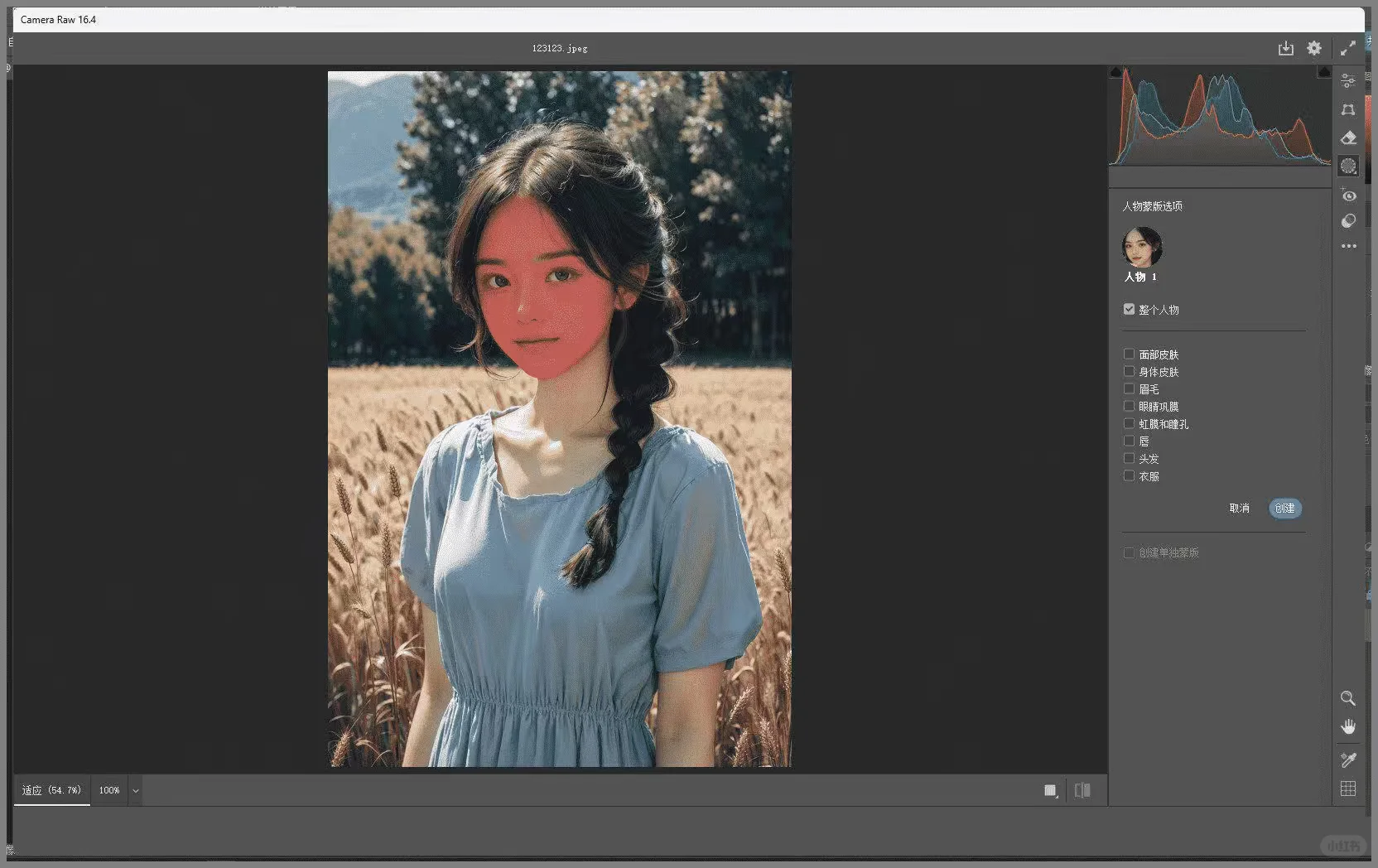 PS图片增强插件Adobe Camera Raw使用方法