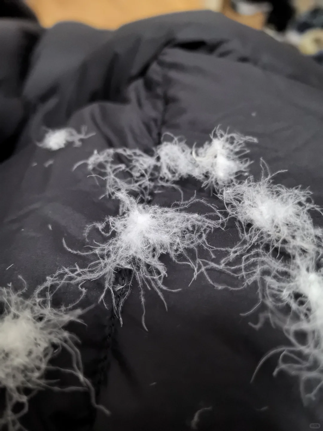 在线帮我看看这个是不是鹅绒服