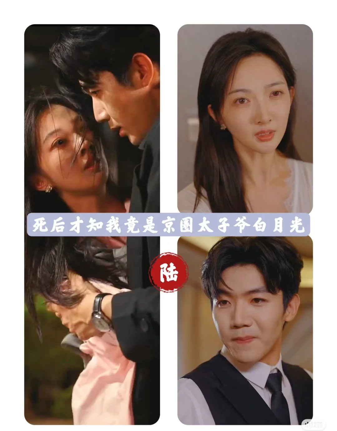 推荐最近看过最好看的短剧