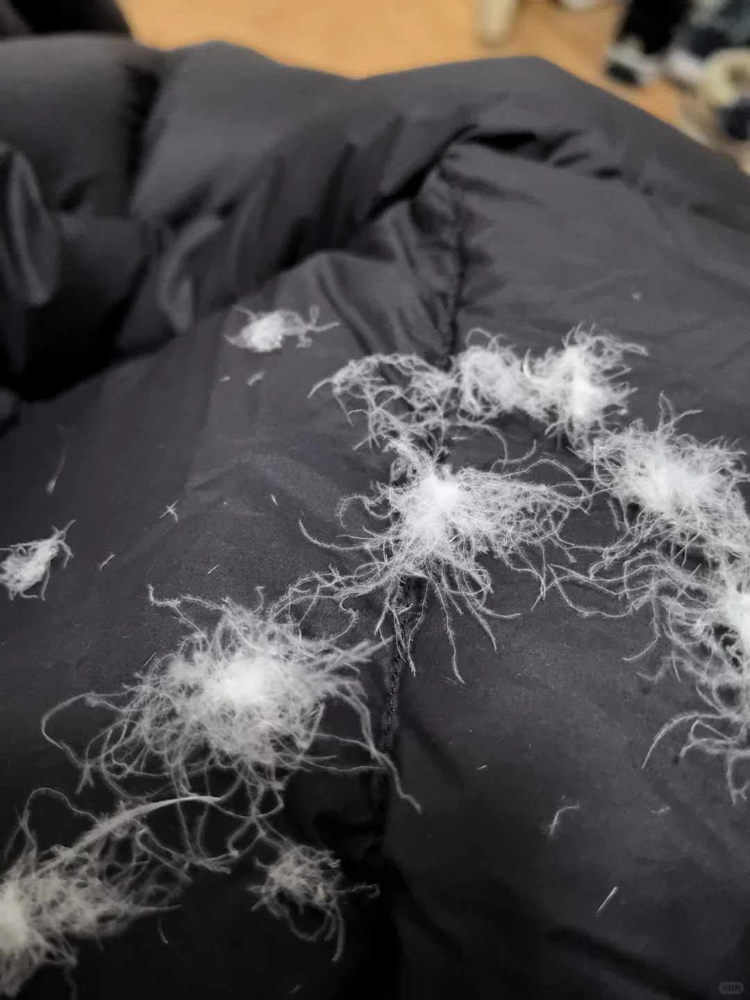 在线帮我看看这个是不是鹅绒服