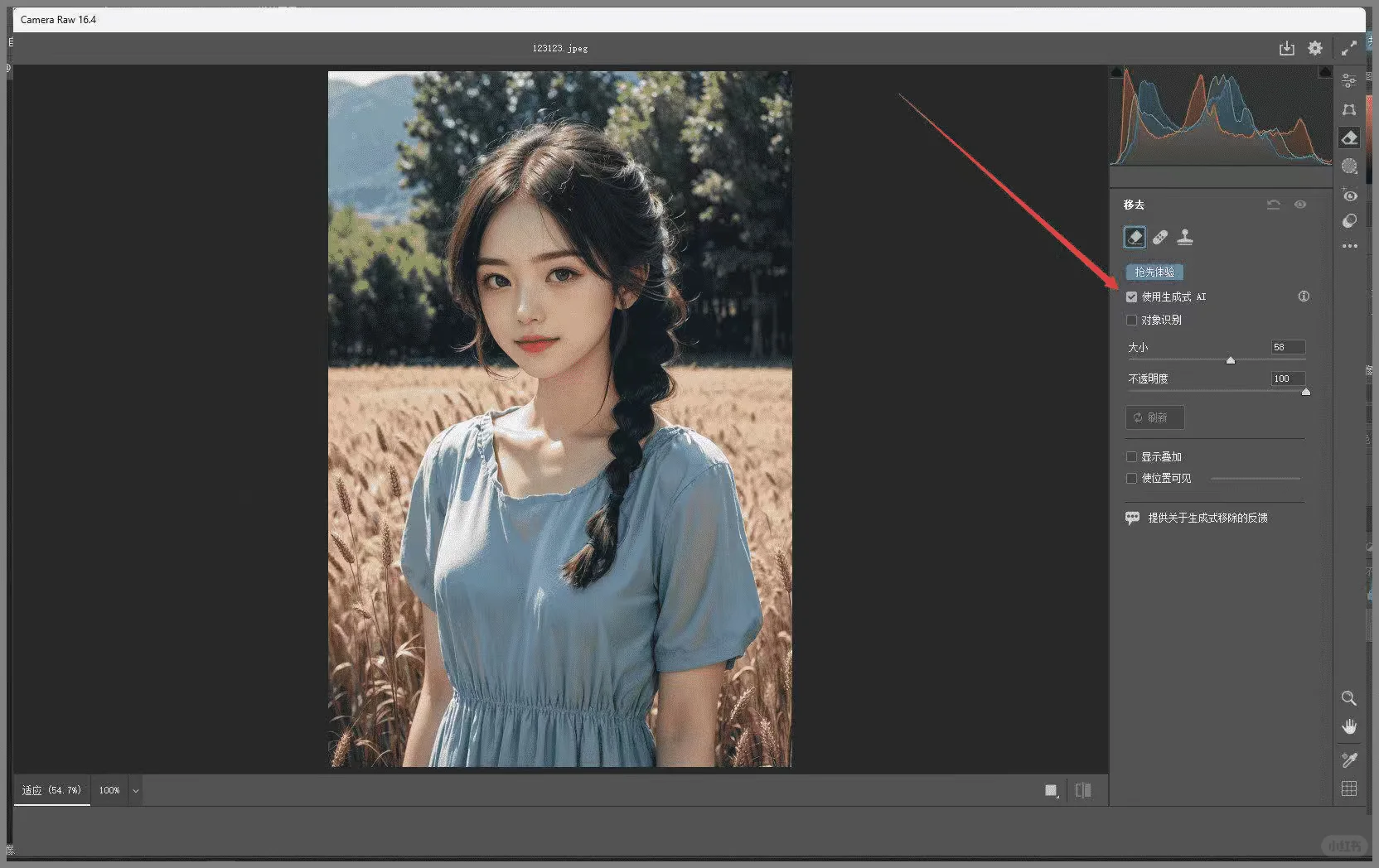 PS图片增强插件Adobe Camera Raw使用方法