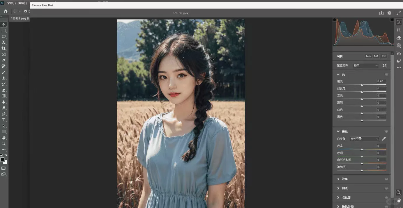 PS图片增强插件Adobe Camera Raw使用方法