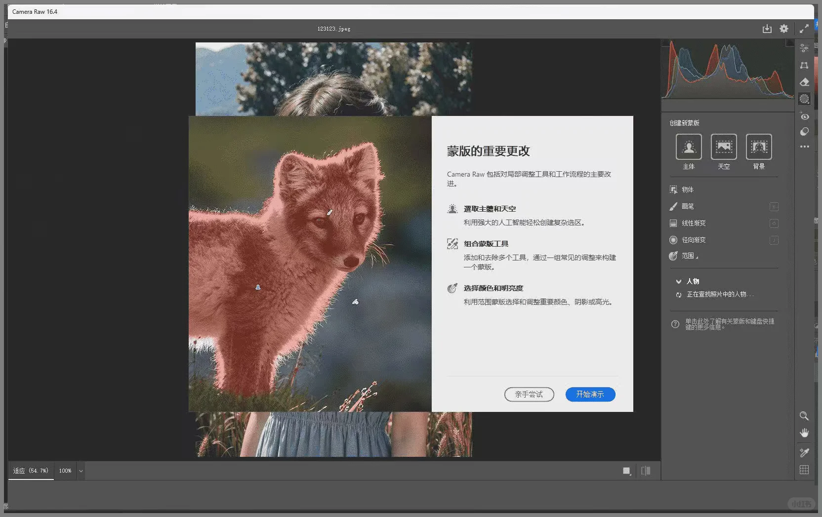 PS图片增强插件Adobe Camera Raw使用方法