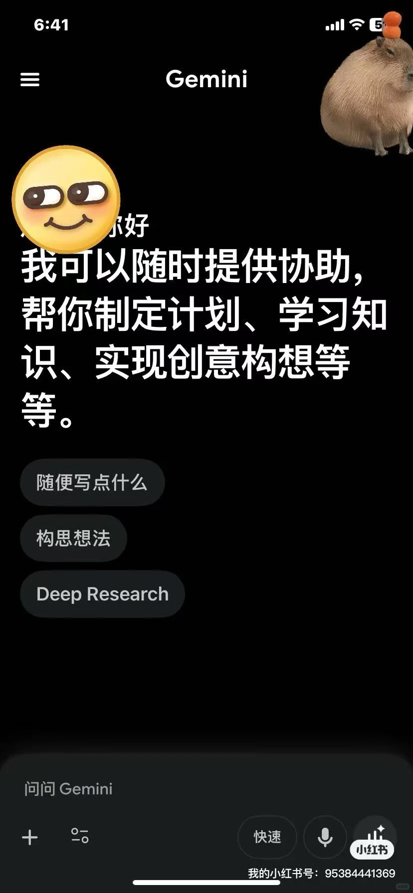 谷歌GEminin AI 服务 欢迎咨询