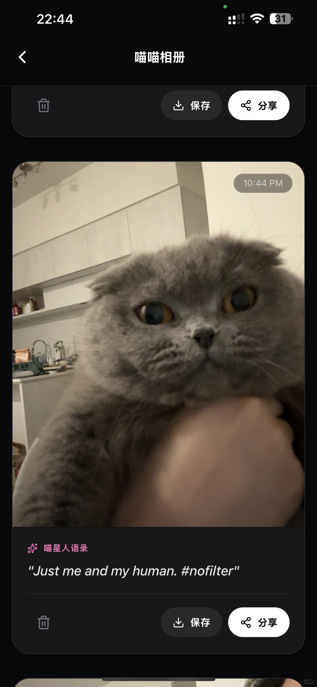 ?Gemini真的6天帮我上架了人生第一个APP