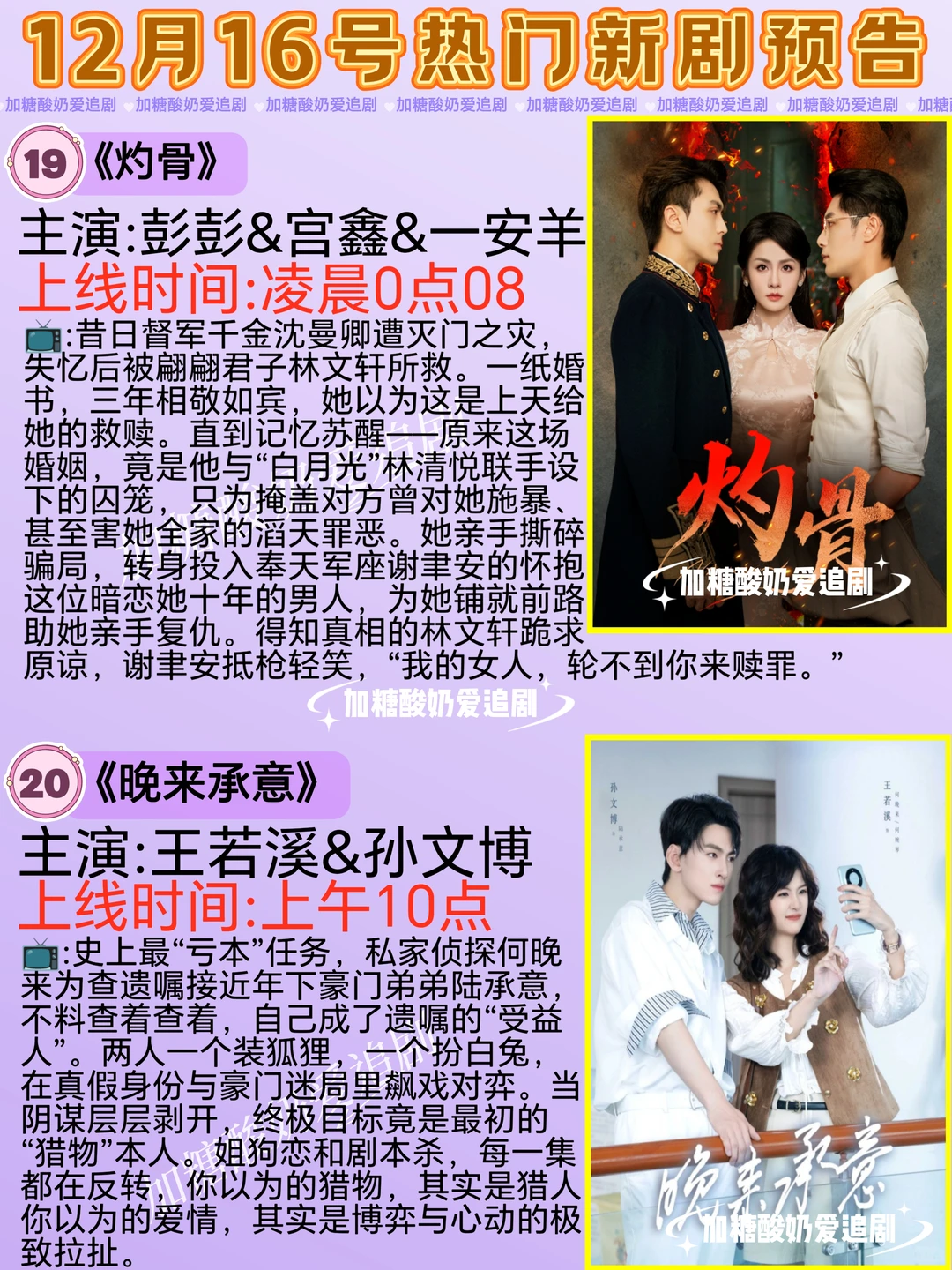 天花板短剧💥12月16日热门短剧预告