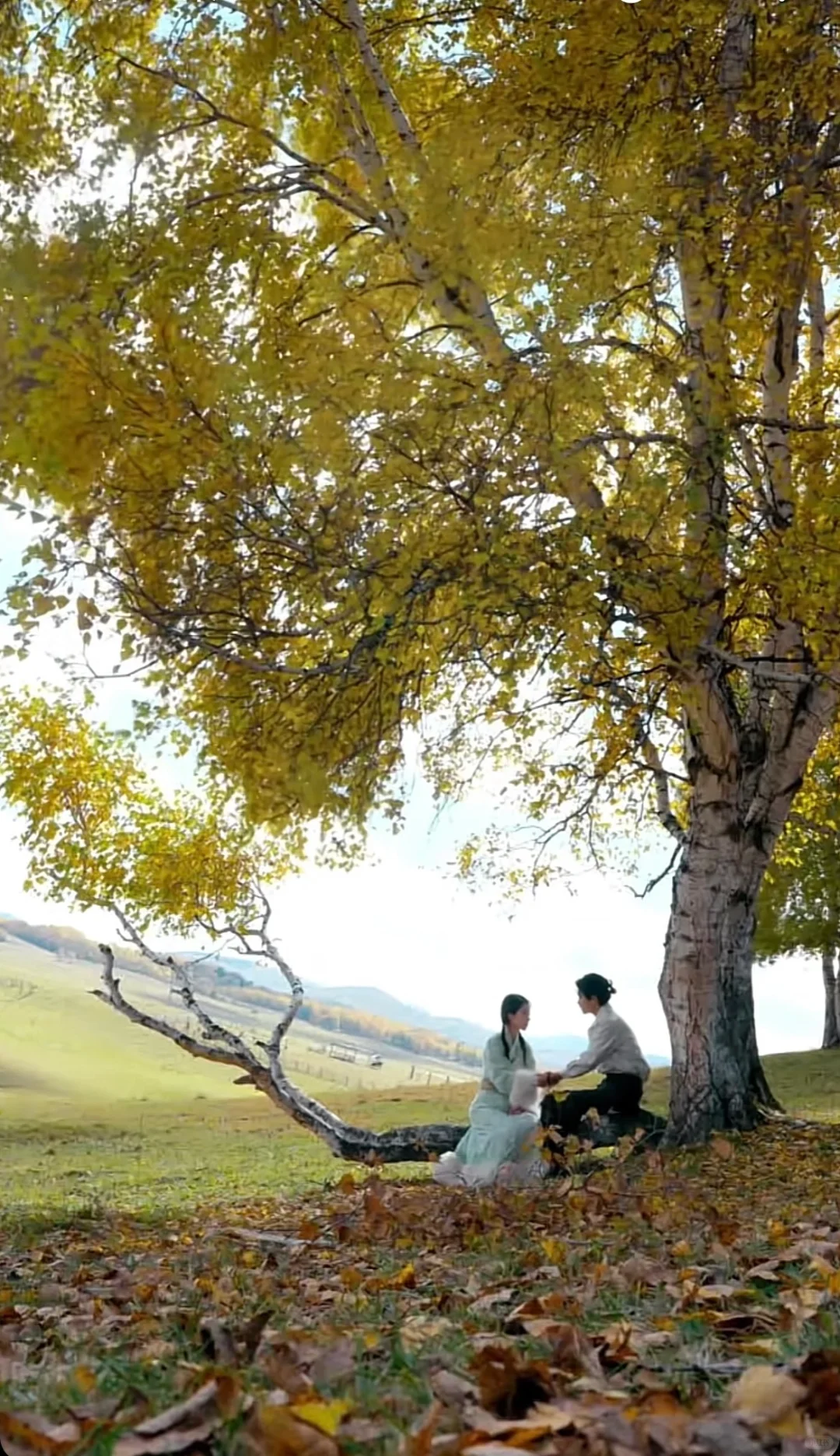 不火 但真的好看❗️