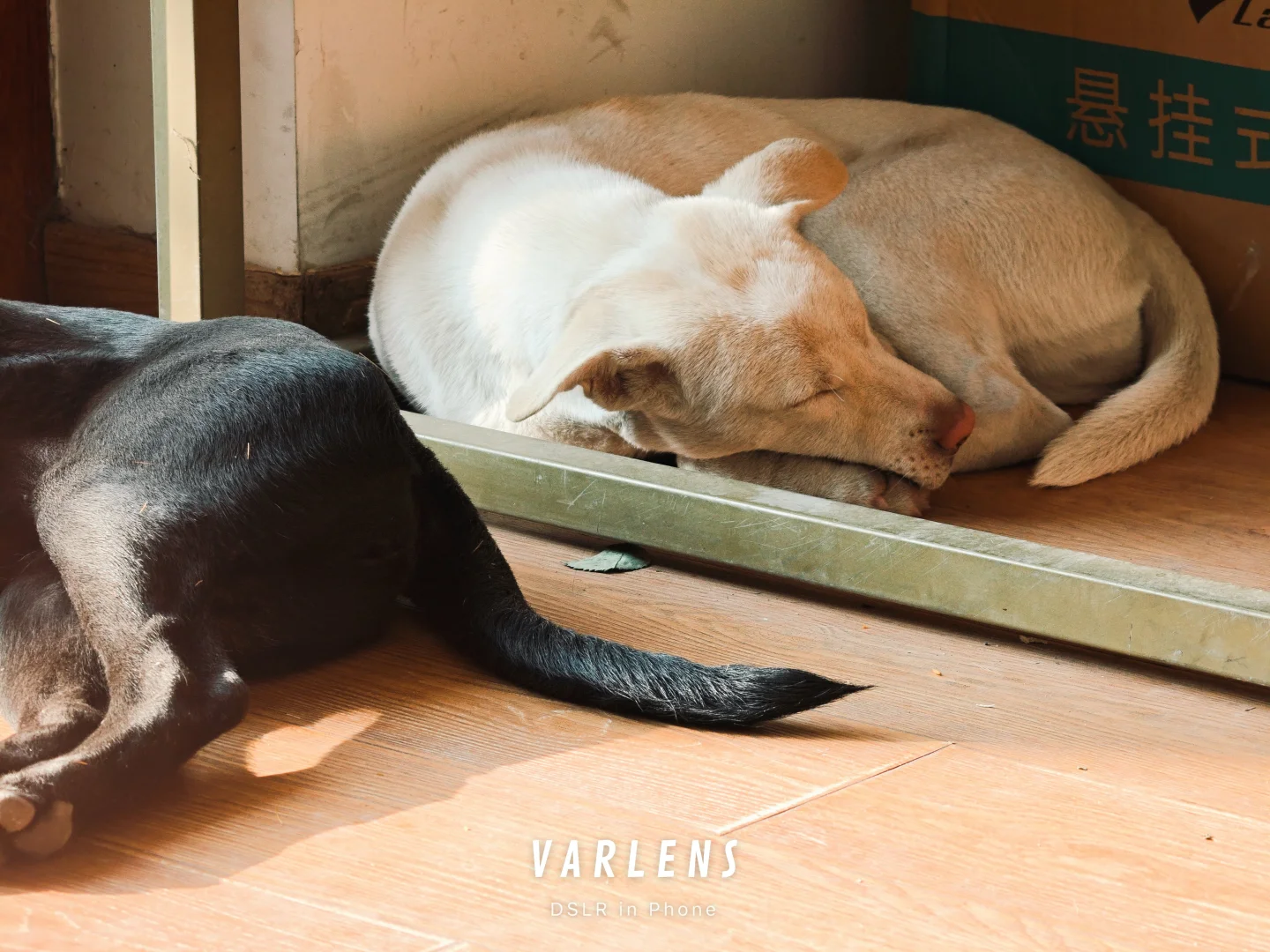 有了这个APP,安卓也能用富士Lut拍照啦!