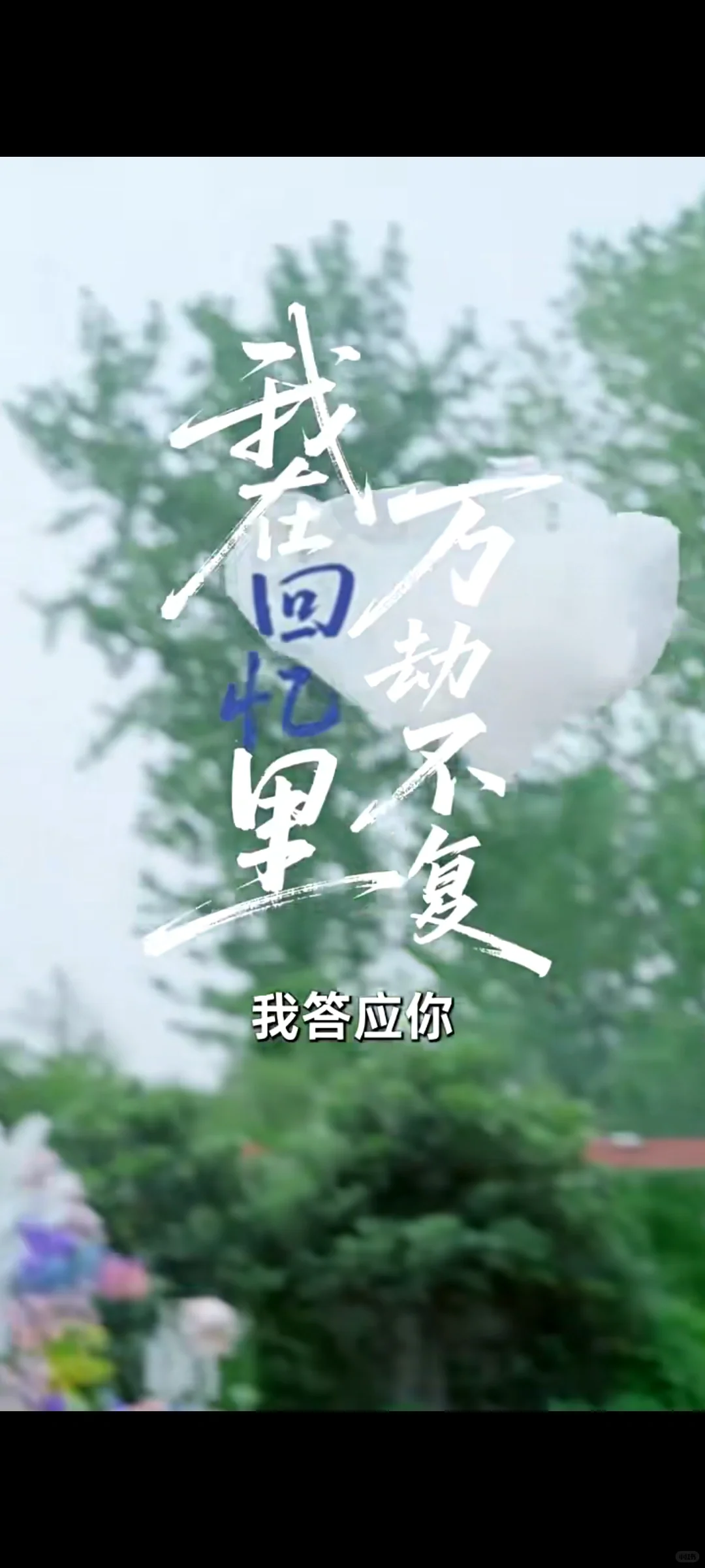 热门短剧全集上线