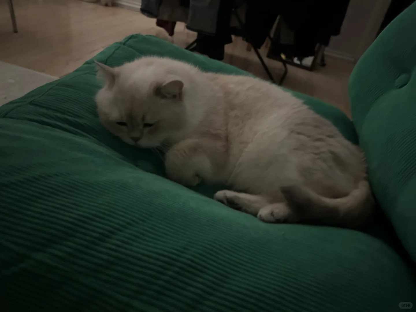 拉着男朋友看五十度灰lol