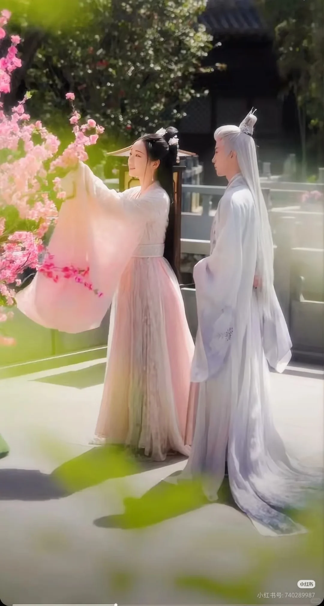 病娇公主强制爱vs美强惨仙尊国师