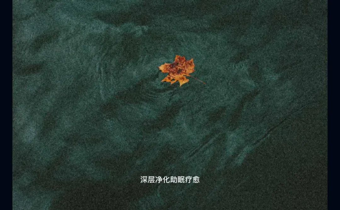 我说熊猫睡眠App你别太牛！