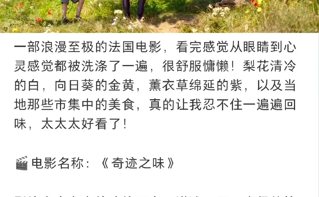 内心多幸福才能拍出这么美好的电影🎬