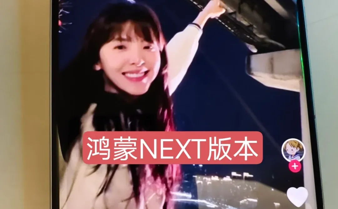 华为鸿蒙NEXT版小红书美团抖音，你满意吗