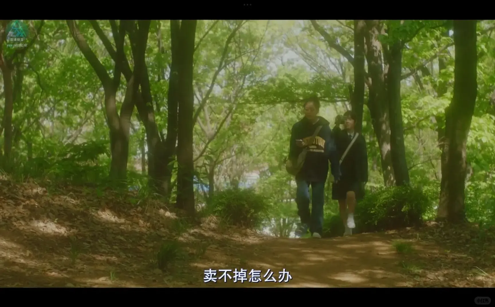 《梦之歌》是我看过最特别的电影