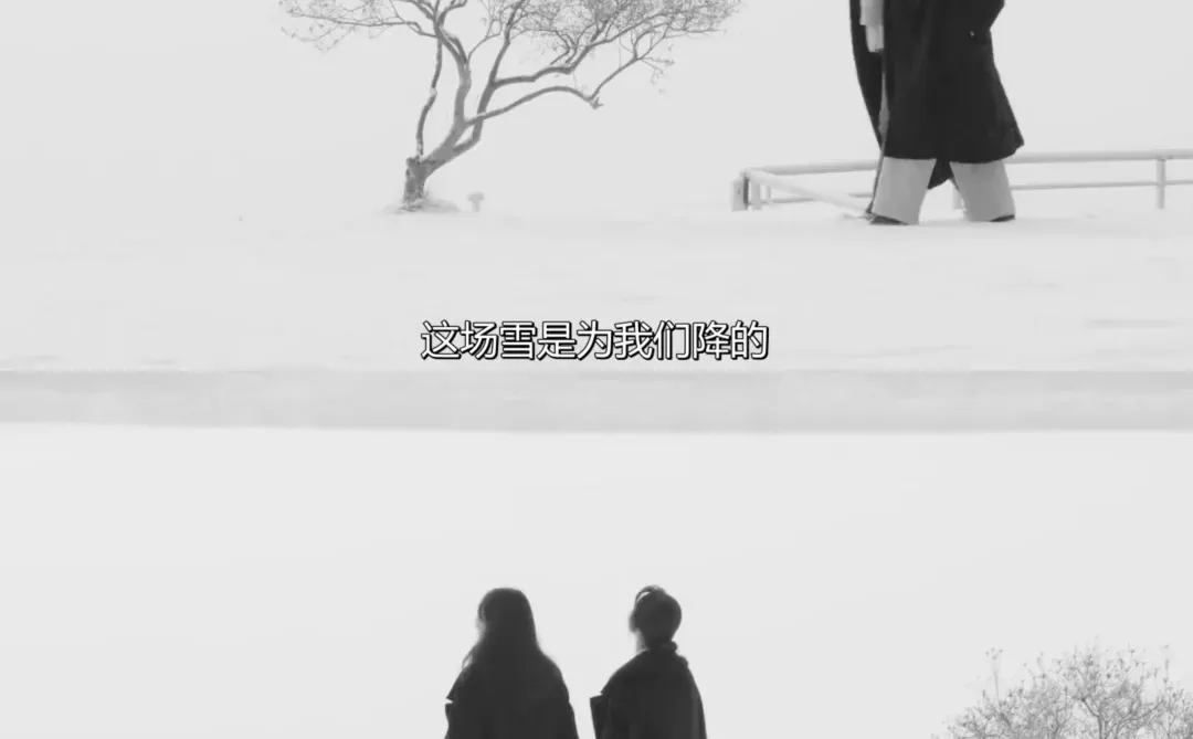 超适合冬天❄️窝在家里看的一些电影🎬