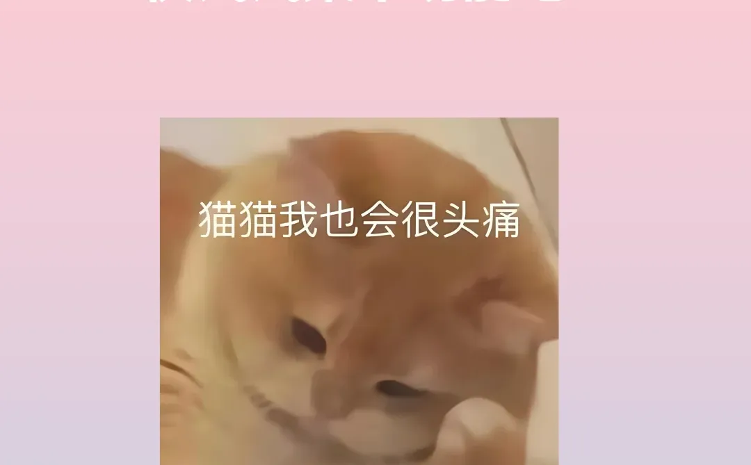 吹爆‼️雷军都收藏的红米手机21个隐藏功能