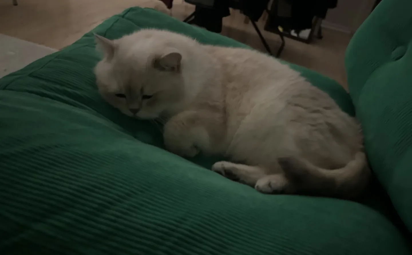 拉着男朋友看五十度灰lol