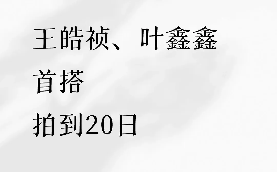 王皓祯、叶鑫鑫