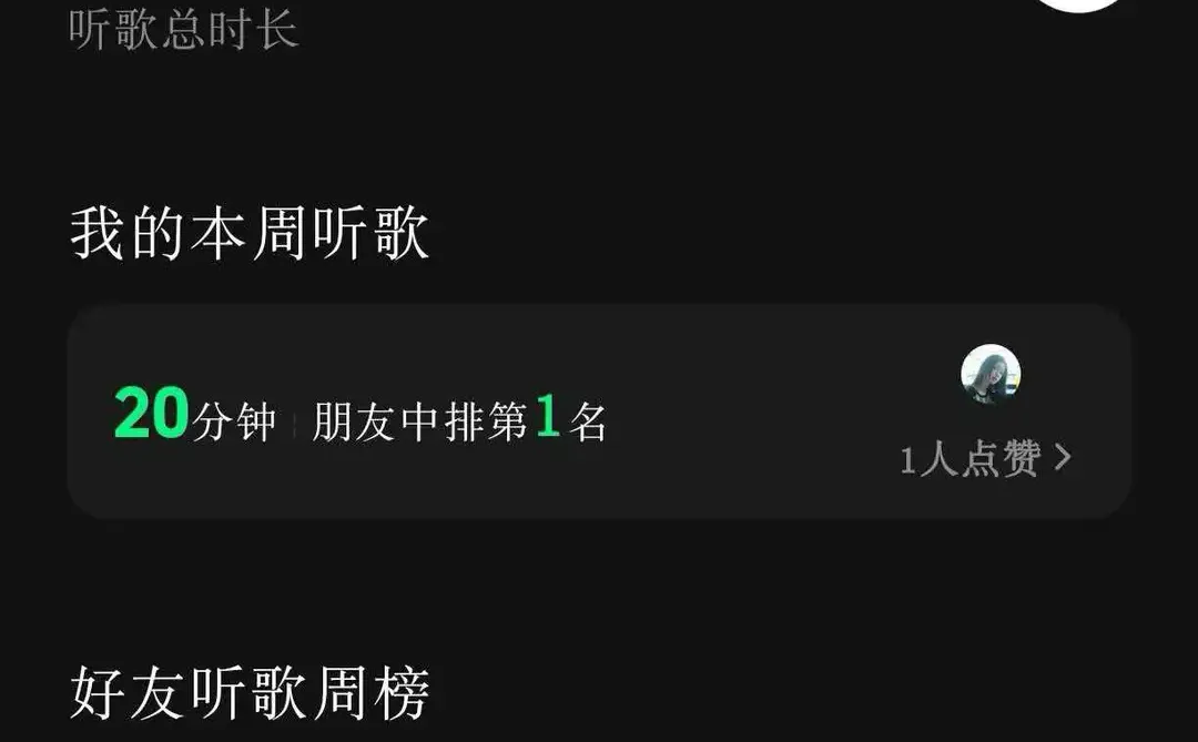 🎶这款 APP 中老年适配度直接拉满