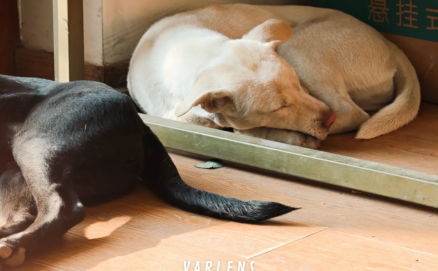 有了这个APP,安卓也能用富士Lut拍照啦!