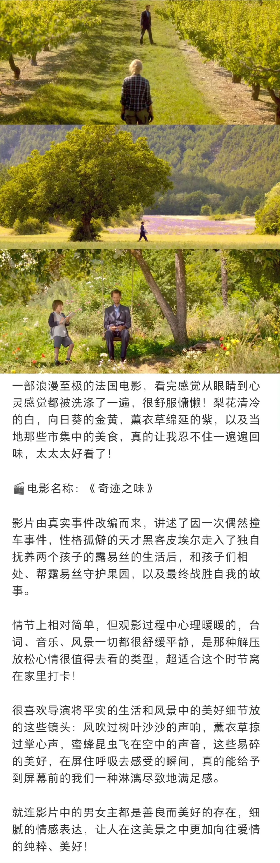内心多幸福才能拍出这么美好的电影🎬