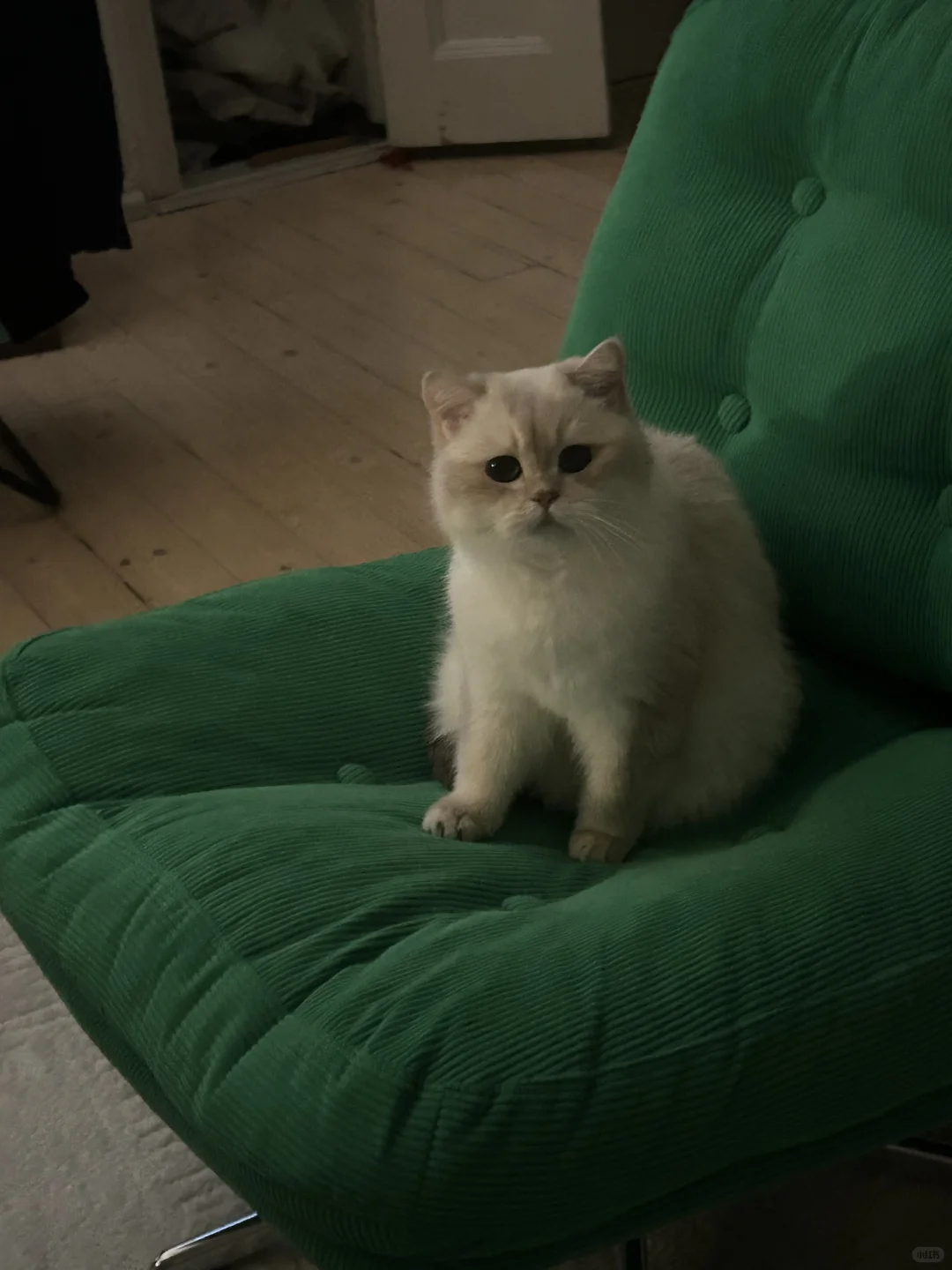 拉着男朋友看五十度灰lol