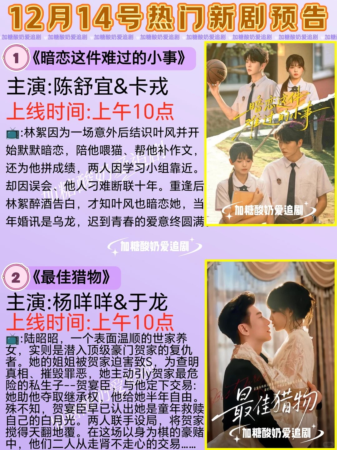 天花板短剧💥12月14日热门短剧预告