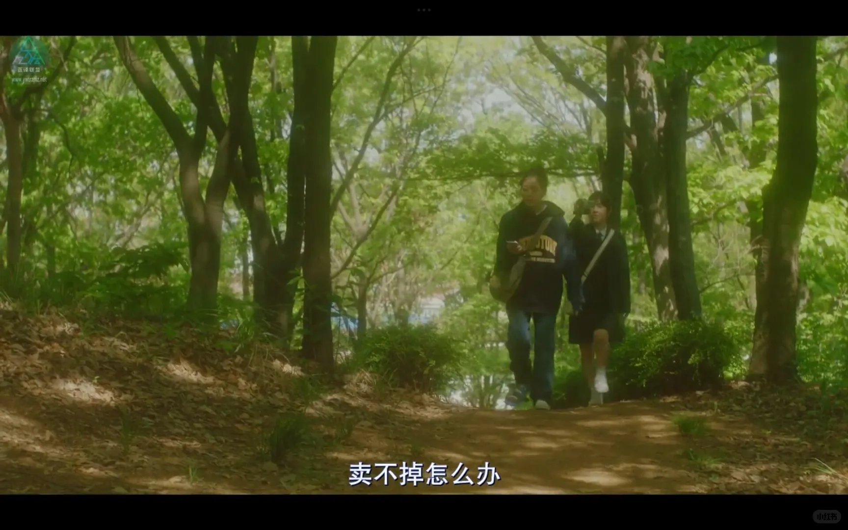 《梦之歌》是我看过最特别的电影