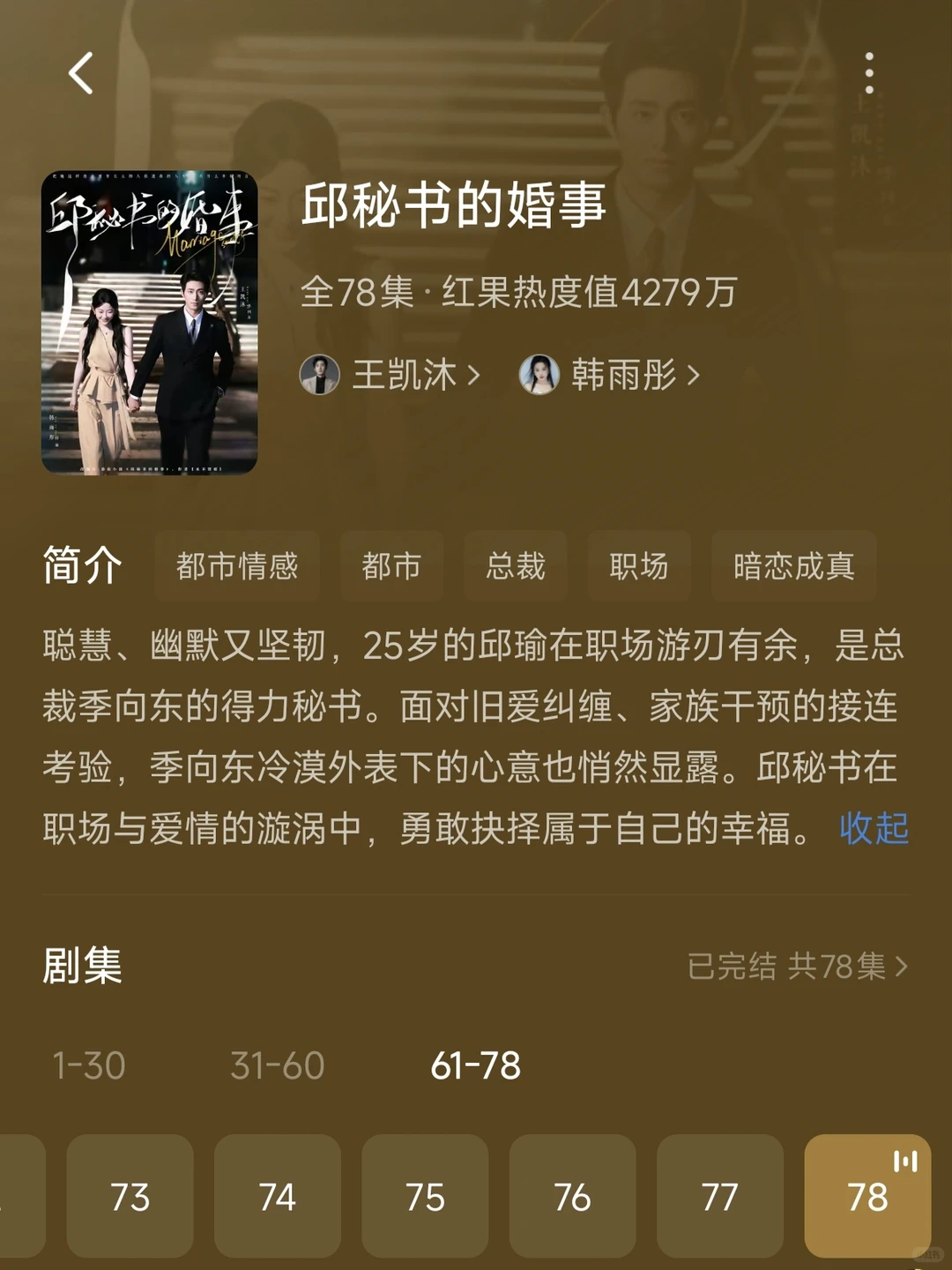 王凯沐的几部剧