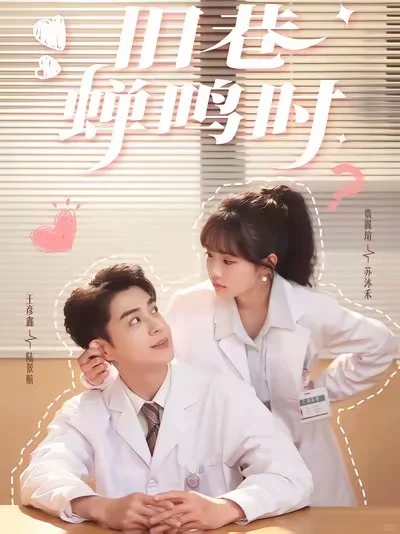 网剧，国产剧真的越来越好了！