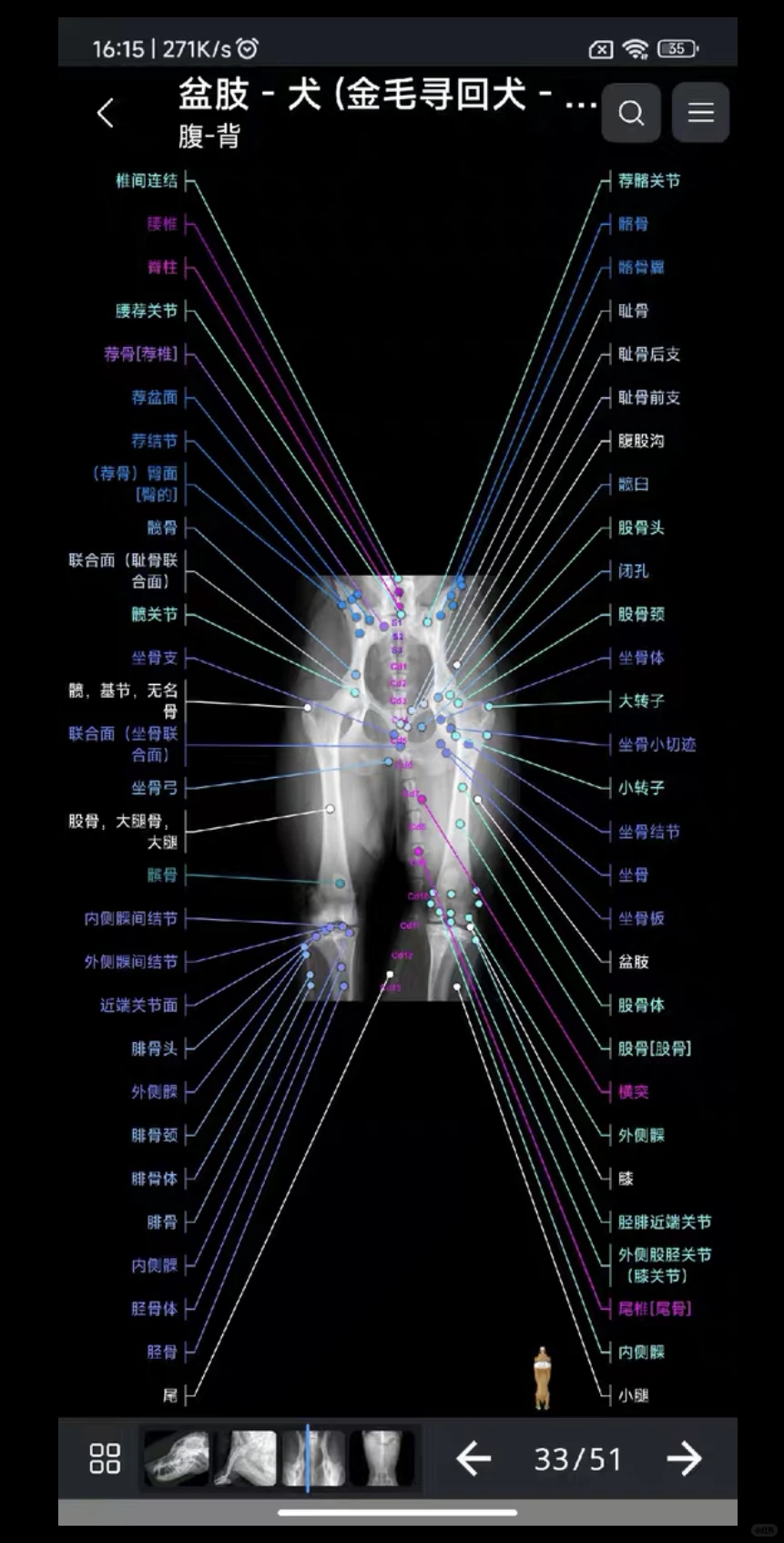 自学兽医犬猫3D解剖安卓软件