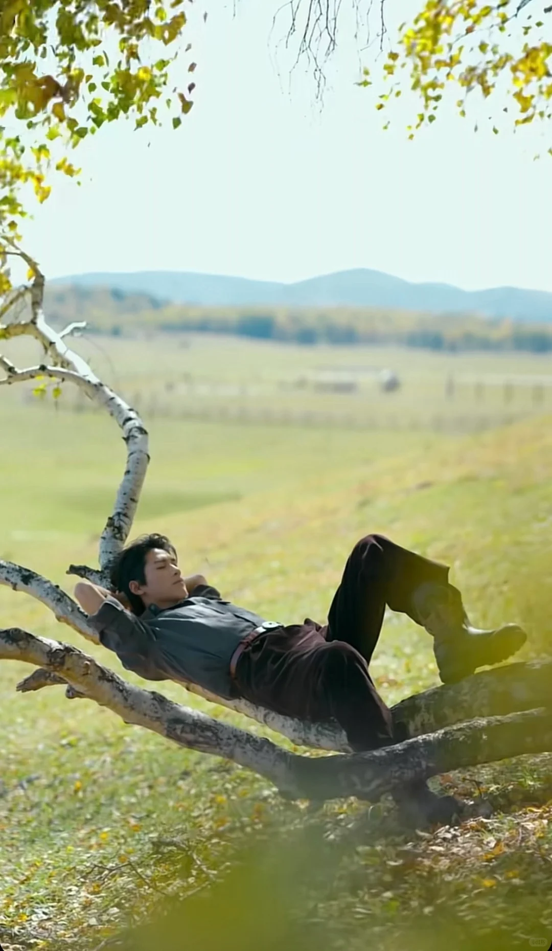 不火 但真的好看❗️