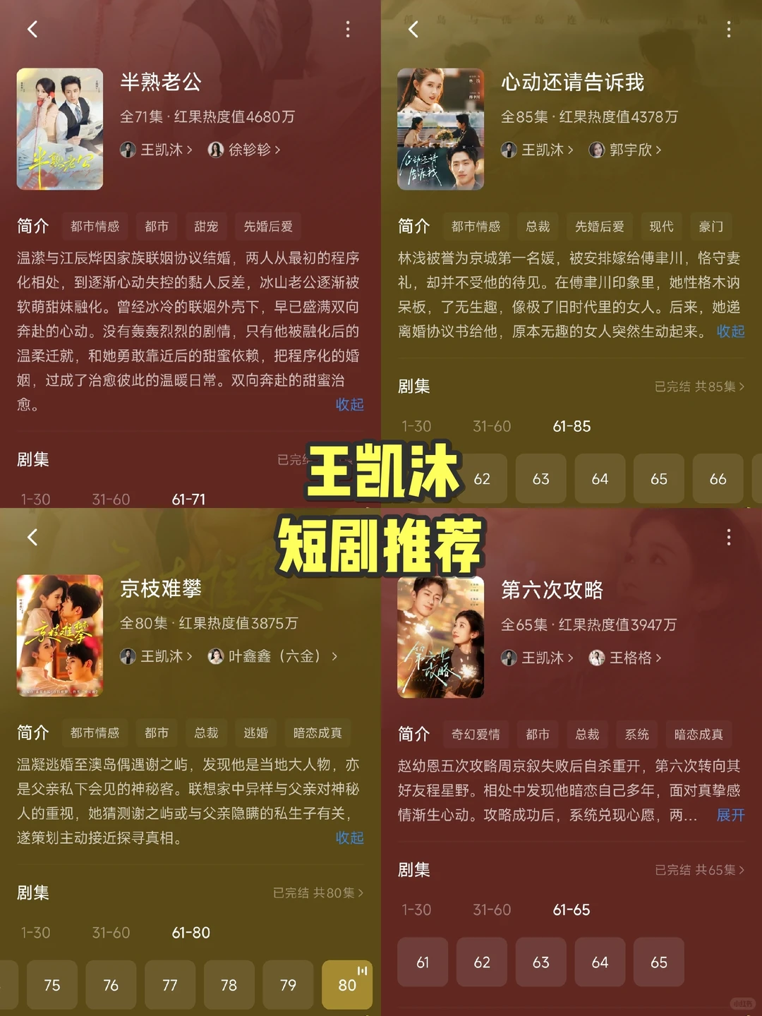 王凯沐的几部剧