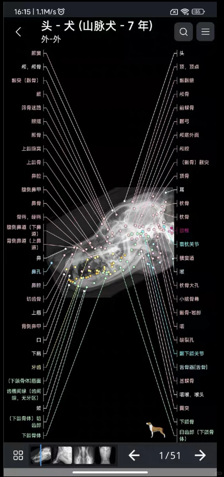 自学兽医犬猫3D解剖安卓软件