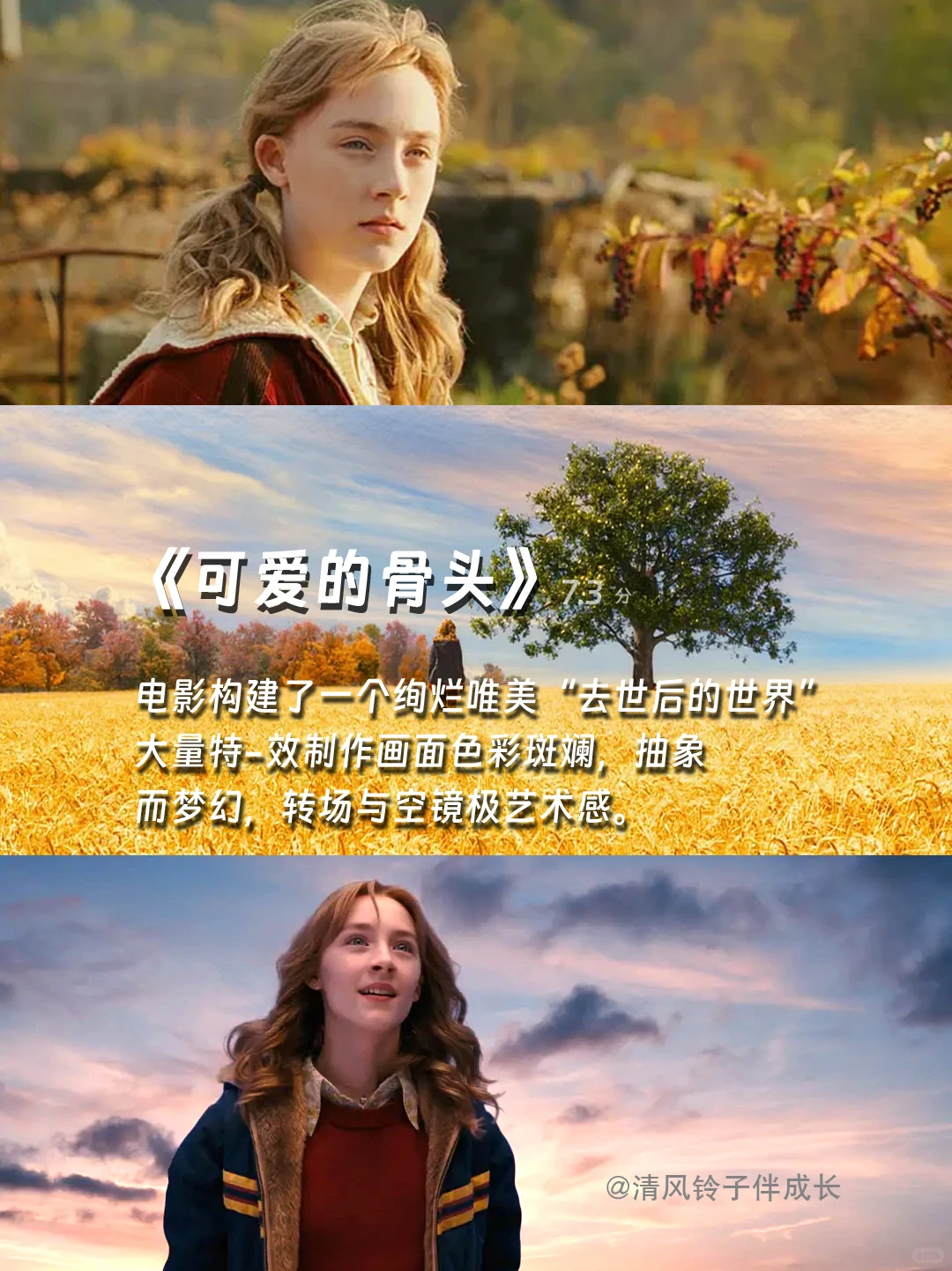 提高审美，请狂刷这12部电影🎬