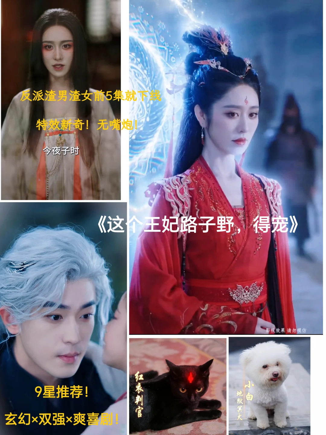 9星⭐️推荐短剧:这个王妃路子野,得宠