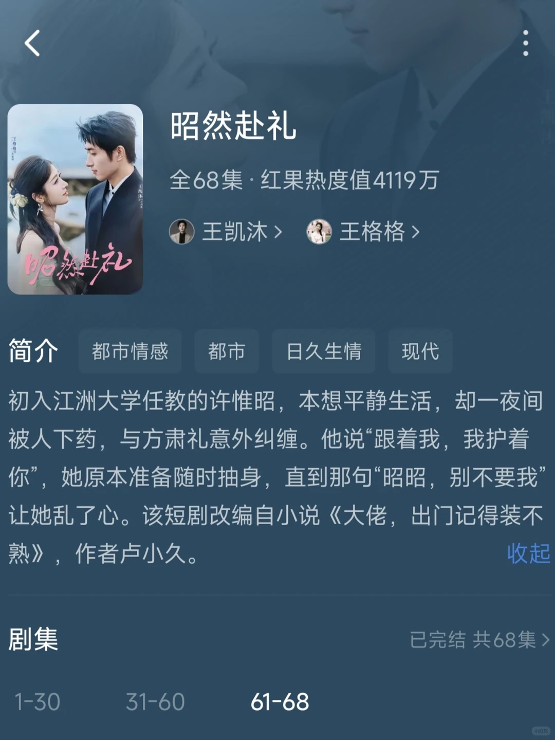 王凯沐的几部剧