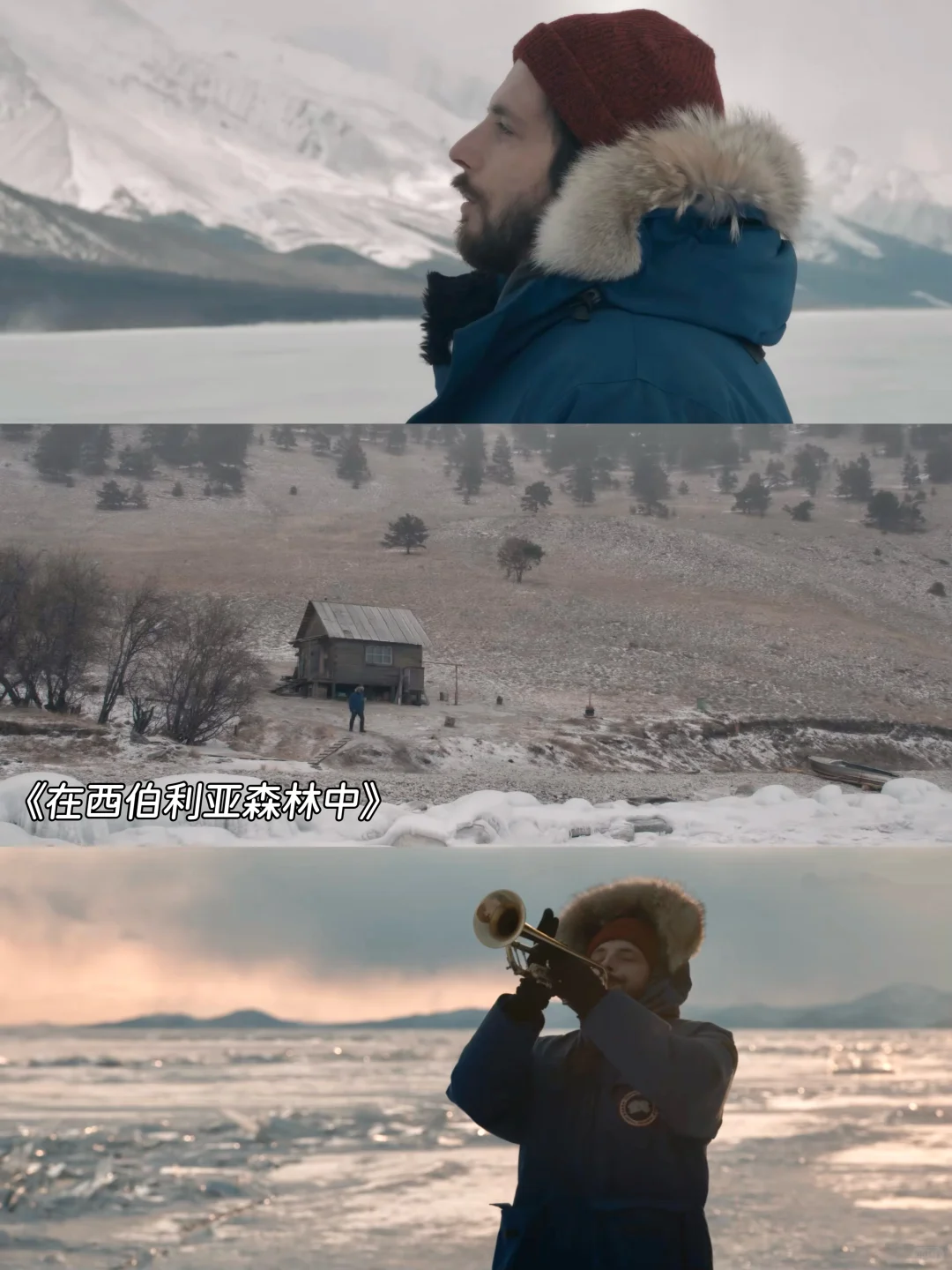 超适合冬天❄️窝在家里看的一些电影🎬