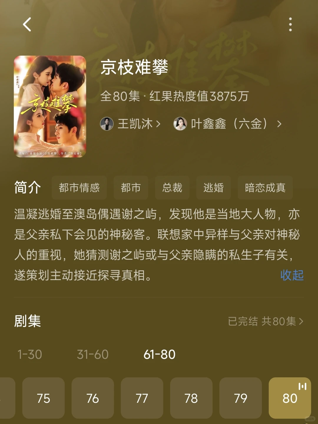 王凯沐的几部剧