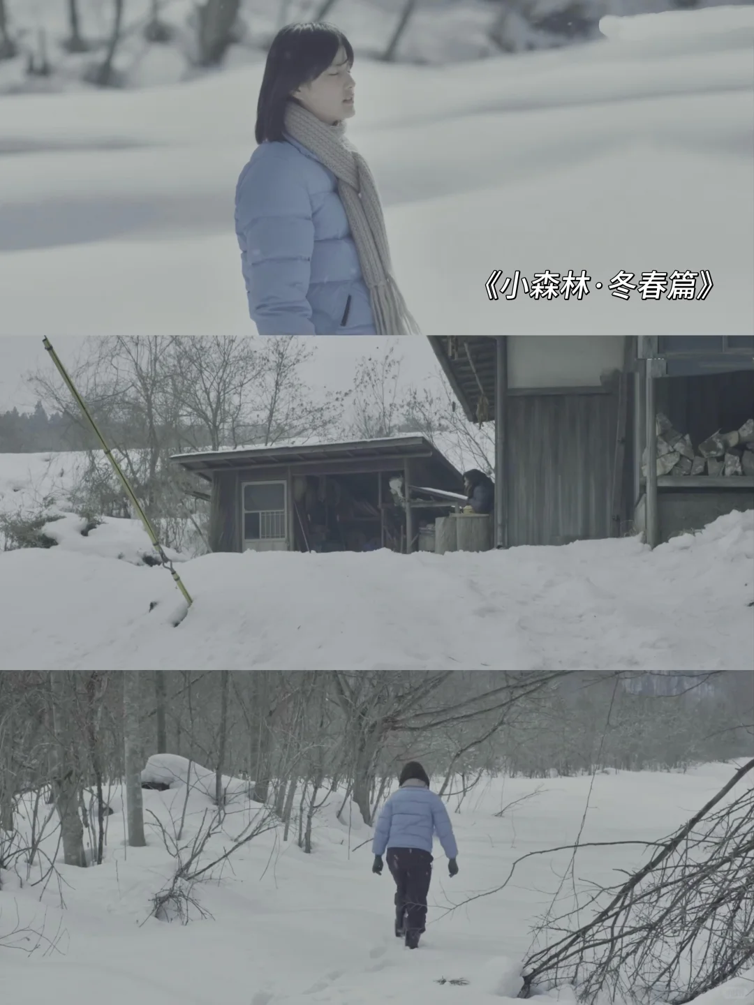 超适合冬天❄️窝在家里看的一些电影🎬