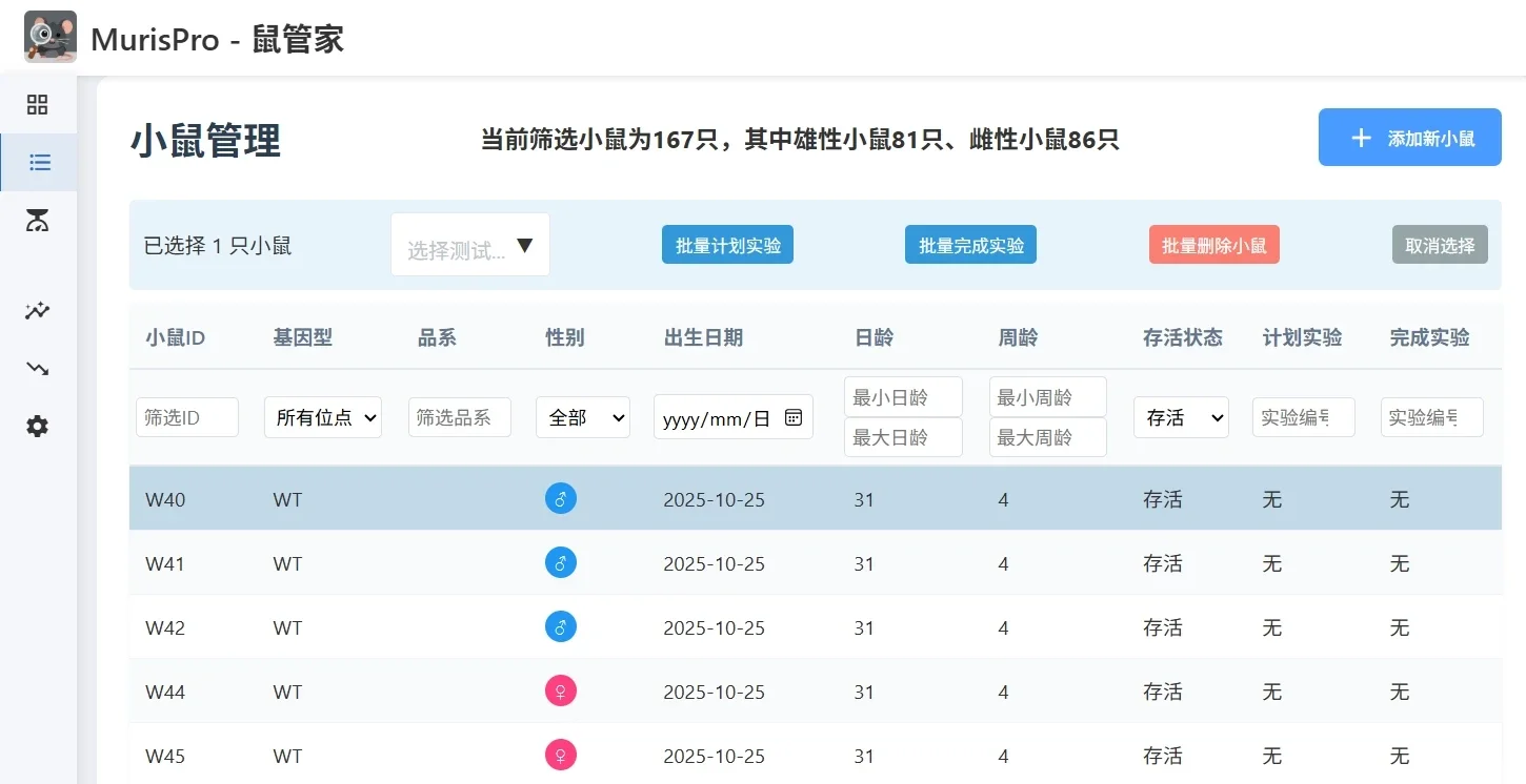 这么好用的小鼠软件,不来试试吗