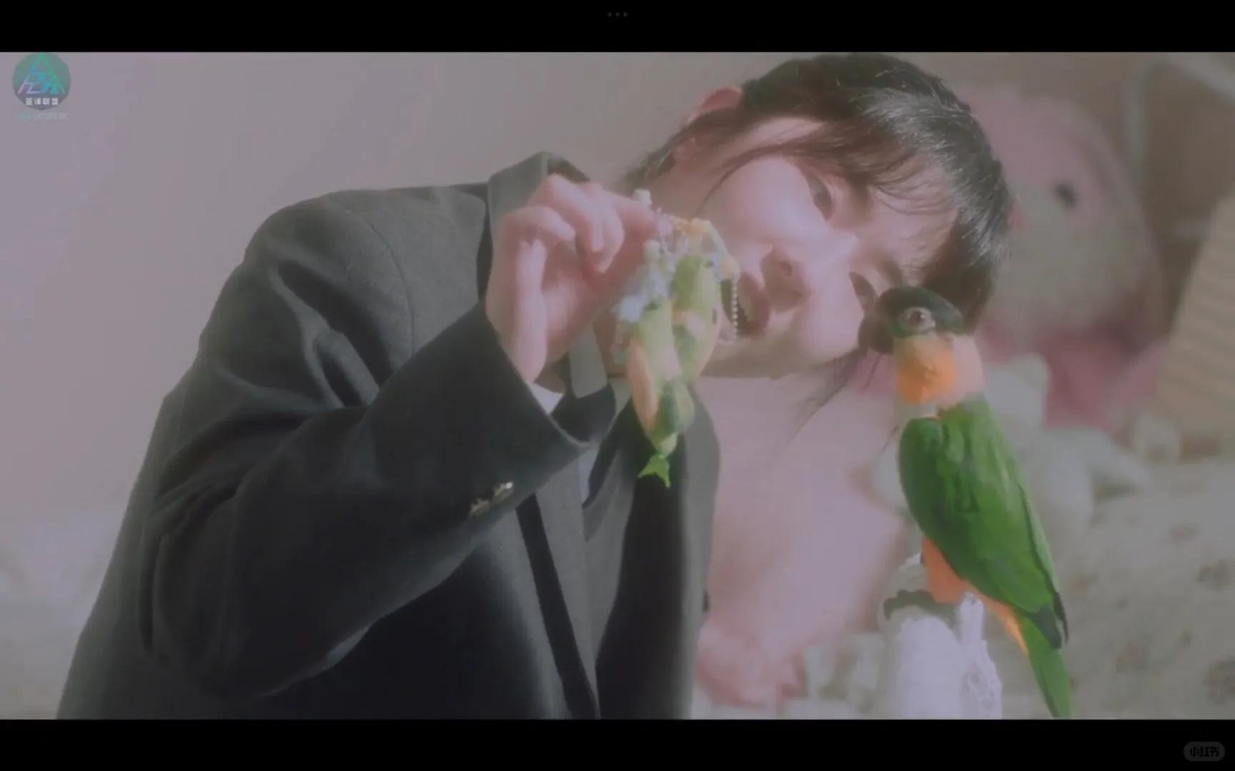 《梦之歌》是我看过最特别的电影