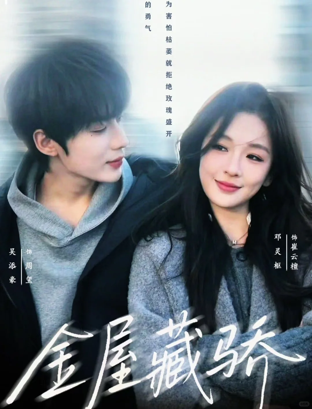 家人们觉得这部剧好看吗