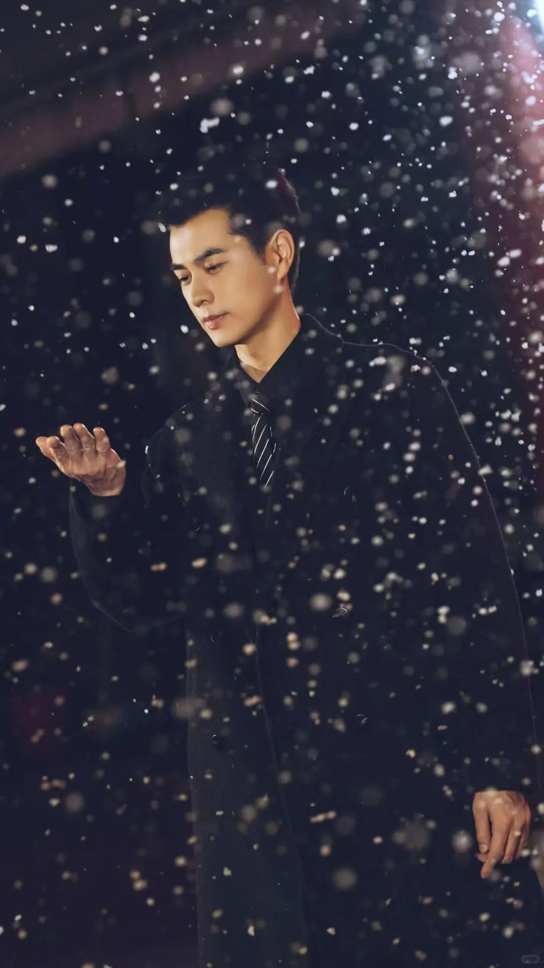 《纸玫瑰2》热播上映～