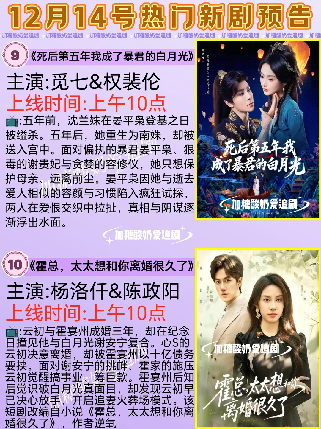 天花板短剧💥12月14日热门短剧预告