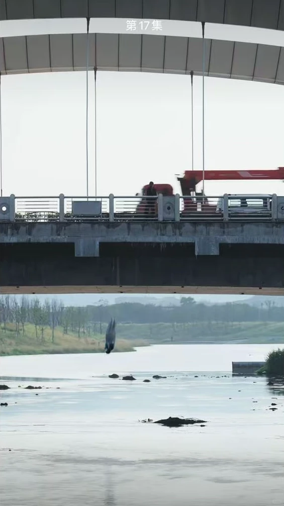 排雷报告:古早梗合集...