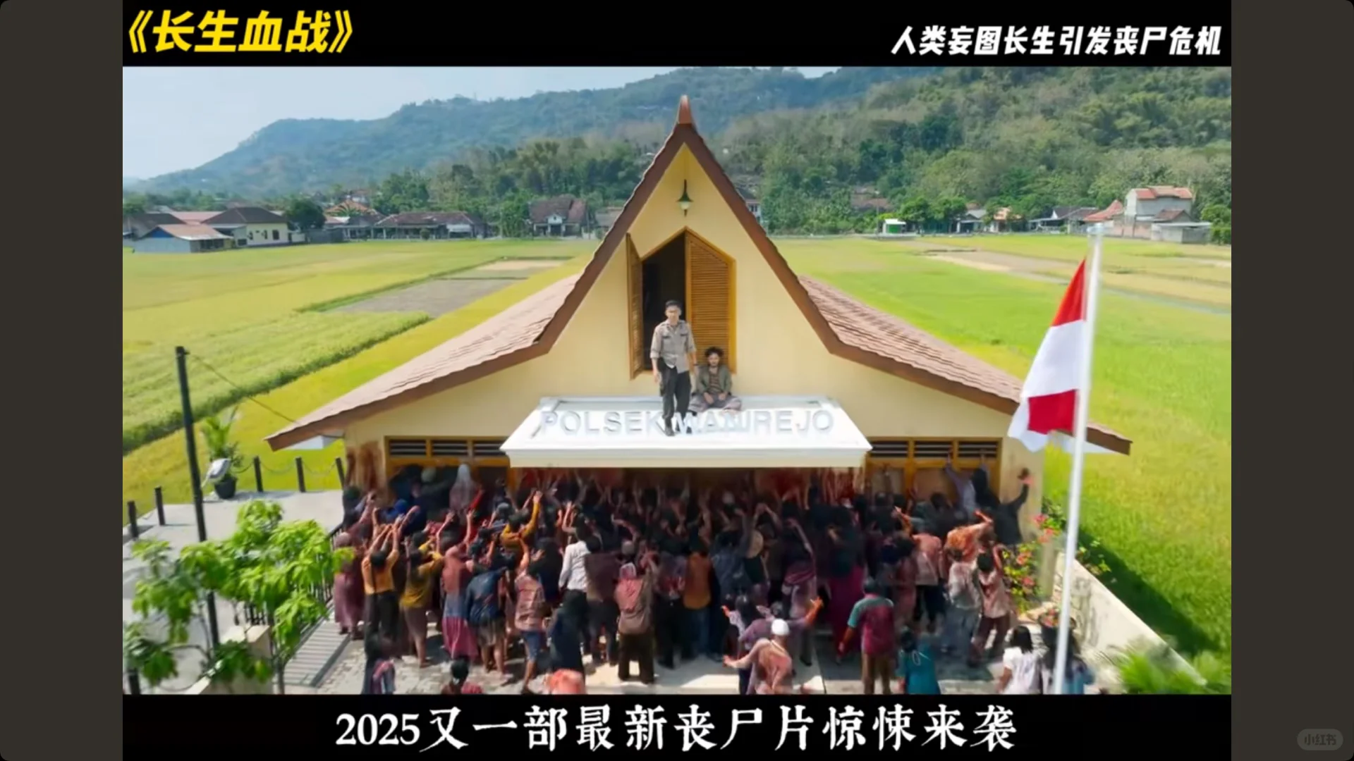 2025蕞新丧shi电影🔥 网飞严选